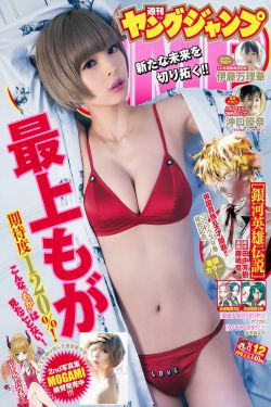 少帅张学良电视剧
