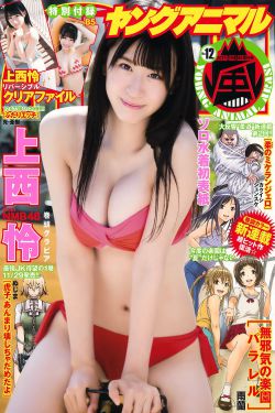 一念关山 电视剧
