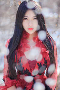 极品女士第四季